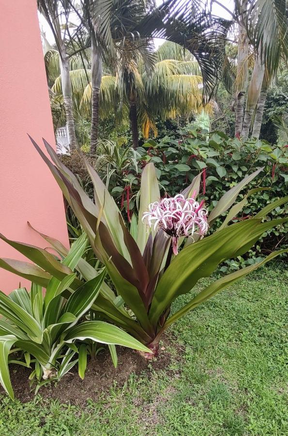 Bencastle Villa Gros Islet Exterior foto